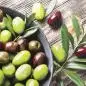 Mobile Preview: 20 napkins Fresh Olives Eat Fruits Vegetables 33cm