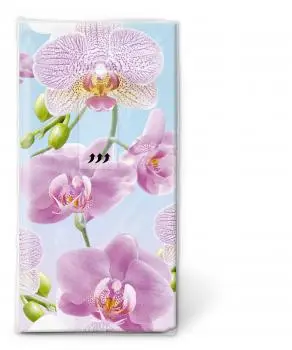 Taschentücher Helle Orchidee