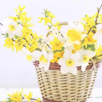 20 Lunch Napkins Daffodil basket 33 cm
