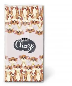 10 Handkerchiefs Say Cheese TT