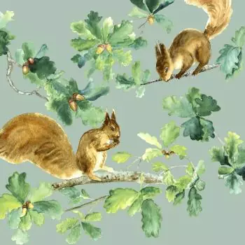 20 Lunch Napkins Squirrels 33 x 33cm