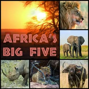 20 Servietten Big Five Nashorn Löwe Elefant Leopard Tiere Afrika 33cm