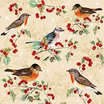 20 napkins holly with robins and birds 33cm