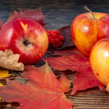 20 Lunch Servietten Apfel mit bunten Blättern im Herbst 33cm als Tischdeko