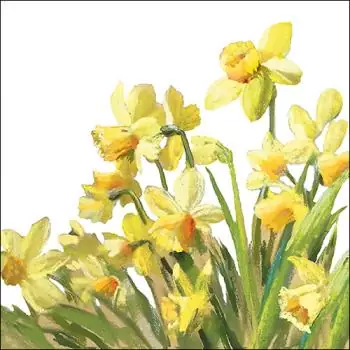 20 Servietten bunte gelbe Narzissen auf der Wiese im Frühling und Sommer als Tischdeko 33cm