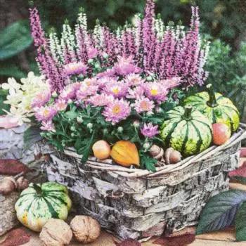 20 napkins colorful autumn basket with heather and pumpkin in autumn 33cm as a table decoration