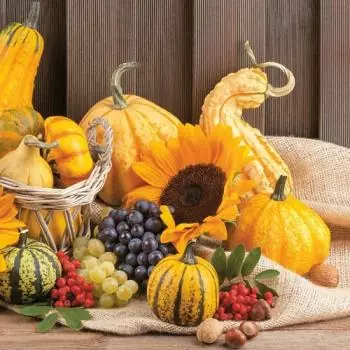 20 napkins autumn fruits pumpkin, wine and sunflower in a basket as a table decoration in autumn 33cm