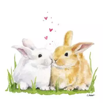20 Easter napkins cute bunnies kissing with hearts as table decorations 33cm