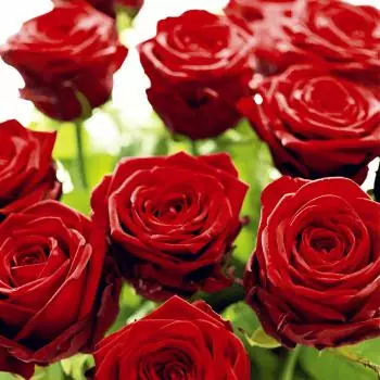 20 Servietten rot Prächtige Rosen im Strauß für die Liebe zum Valentinstag 33cm