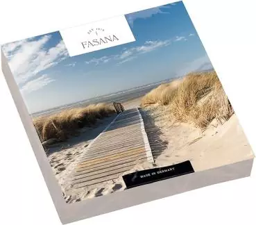 20 Servietten Steg in den Dünen zum Meer am Strand mit Dünengras im Wind 33cm als Tischdeko