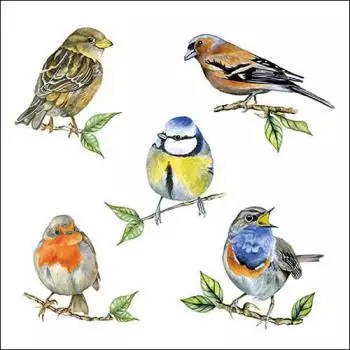 20 napkins with animal motifs, birds from the homeland, robins and tits as table decorations 33cm