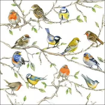 20 napkins lots of colorful songbirds meet to sing, tits and sparrows 33cm as table decorations