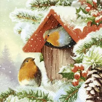 20 cocktail napkins robins in winter in the bird house 25cm