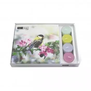 1 Combibox Co-Pack Spring bird 20 Servietten + 4x Teelichter
