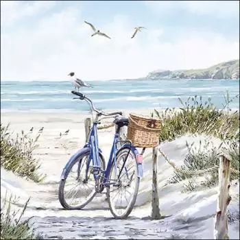 20 Papierservietten mit Fahrrad am Strand und Möwe 33cm als Tischdeko