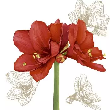 20 napkins Blossom Red 33cm