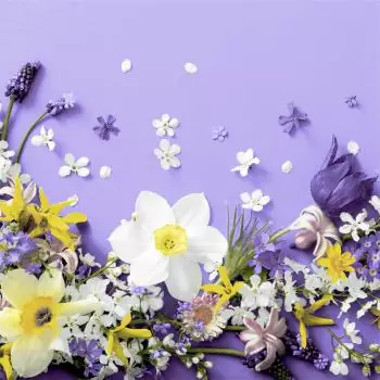 20 Servietten Frühlingsblumen auf lila Narzissen 33cm