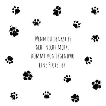 20 Servietten Sprüche Hund 33cm