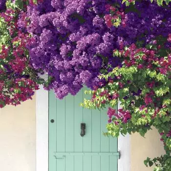 20 Servietten Tür mit Blumen Sommer Garten 33cm