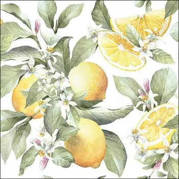 20 napkins lemon fruits of the south 33cm as table decoration