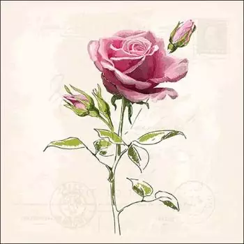 20 Servietten filigrane Rose Vintage / Post Card / Decoupage, Serviettentechnik Tischdeko 33cm