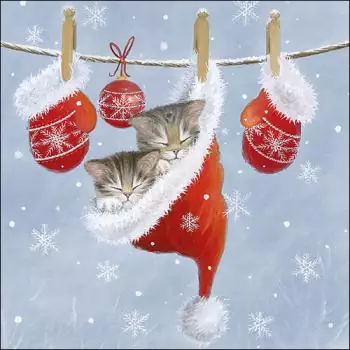 20 Servietten Katzen schlafen in der Nikolaus Socke zu Weihnachten im Winter im Schnee als Tischdeko 33cm