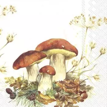 20 napkins porcini mushrooms in the forest on the meadow with oak leaves 33cm