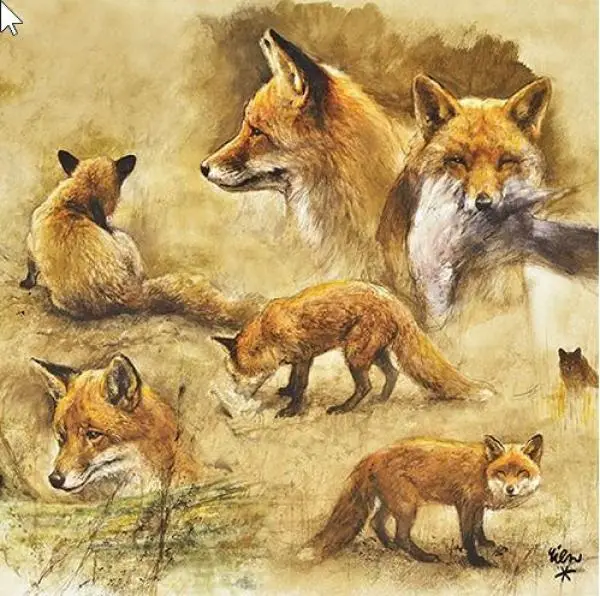 20 napkins fox forest animals hunting forest 33cm