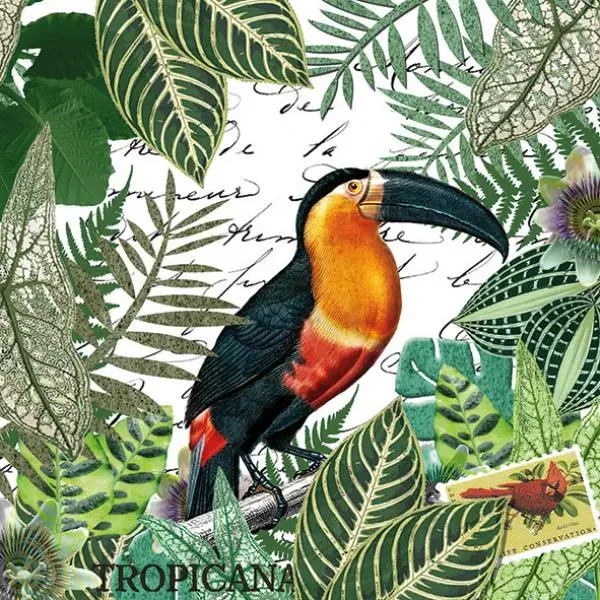 20 napkins toucan on jungle leaves animals tropics 33cm