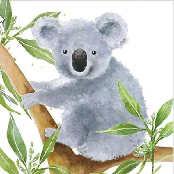 20 Servietten tropischer Koala Bär auf Bambus 33cm