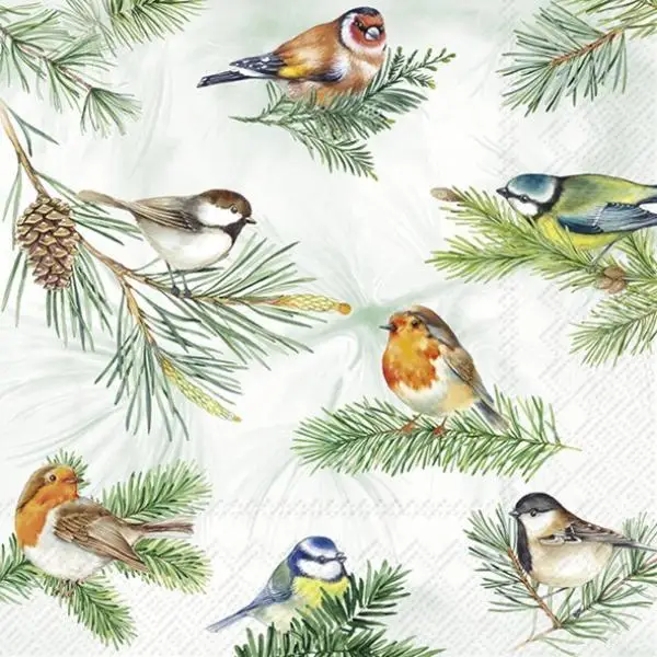 Servietten Vögel Winter 20 Stück – Rotkehlchen, Blaumeise & Spatz