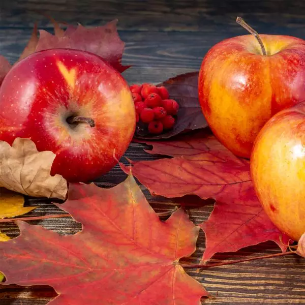 20 Lunch Servietten Apfel mit bunten Blättern im Herbst 33cm als Tischdeko