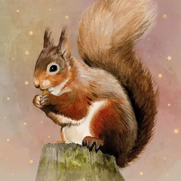 20 napkins squirrel at night in front of a starry sky in autumn, animal forest animal 33cm