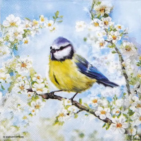 20 Servietten Frühling – Blaumeise auf blühenden Frühlingszweigen | Tischdeko 33x33 cm