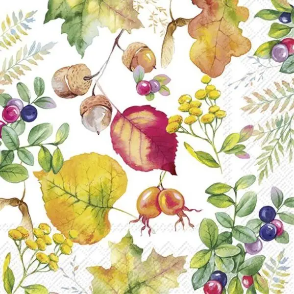 20 Servietten Herbstzauber – bunte Blätter, Eicheln & Herbstfrüchte als herbstliche Tischdeko 33cm 20 Servietten Herbstzauber – bunte Blätter, Eicheln & Herbstfrüchte als herbstliche Tischdeko 33cm