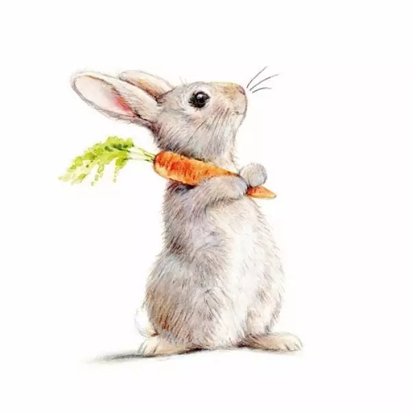 20 napkins funny rabbit with carrot 33cm as table decoration