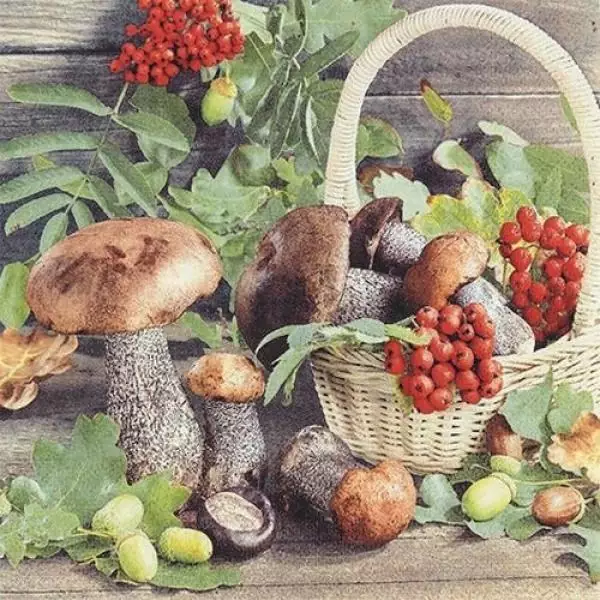 20 Servietten Pilzkorb im Herbst mit Pilzen und Beeren als Tischdeko für den Herbst 33cm