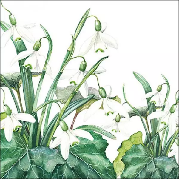 20 Servietten Schneeglöckchen im Frühling zeigen sich als erste Blumen 33cm als Tischdeko