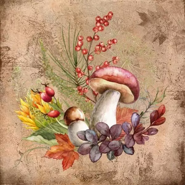 20 napkins boletus and berries in autumn with leaves and mushrooms 33cm