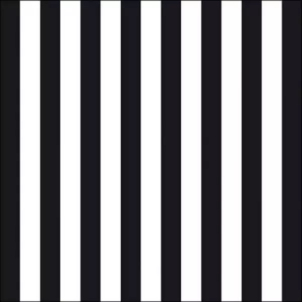 20 Servietten Streifen schwarz und weiß 33cm als Tischdeko