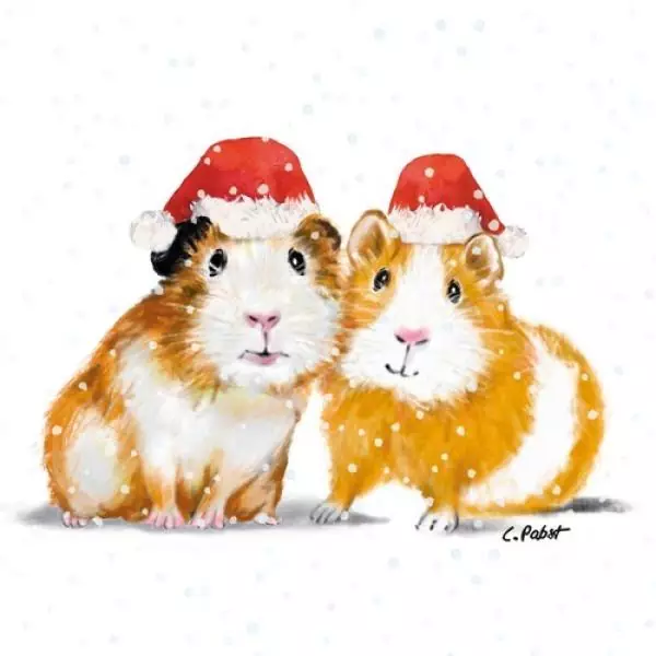 20 Servietten Weihnachten Hamster und Meerschweinchen mit Weihnachtsmütze 33cm als Tischdeko