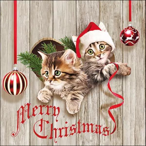 20 Servietten Weihnachten mit Katzen im Herz, Sprüche Merry Christmas als Tischdeko 33cm
