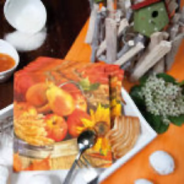 20 Servietten Thanksgiving - Erntedankfest Herbst Früchte 33x33cm
