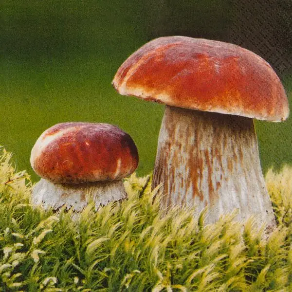 20 napkins porcini mushrooms in the forest autumn 33cm