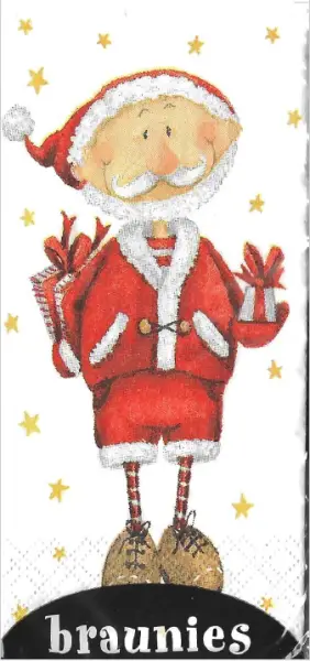 10 Taschentücher Weihnachten Rentier Elch und Santa zum Nikolaus, 1 Packung