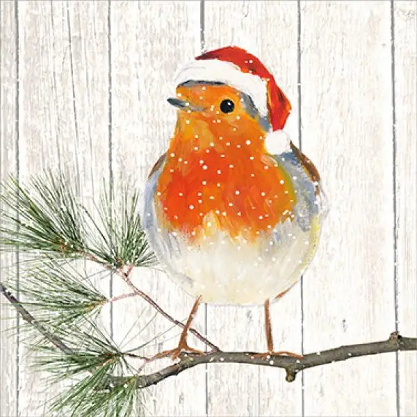 20 napkins birds in winter robins Christmas 33cm