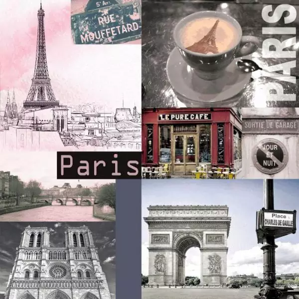 20 napkins life in Paris France Europe 33cm