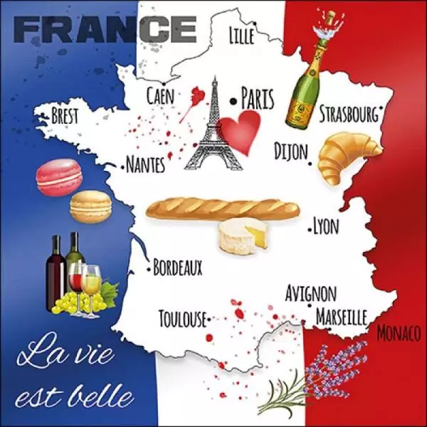 20 napkins France Paris love baguette macaron champagne wine croissant 33cm