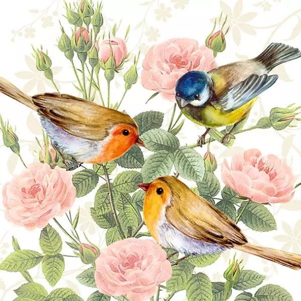 20 napkins blue tit and robin with roses birds spring 33cm