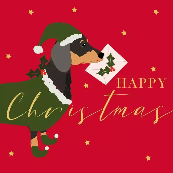 20 Servietten Dackel Hund mit Weihnachtsmütze und Botschaft zu Weihnachten 33cm